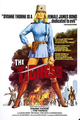 白云seo优化推广价格